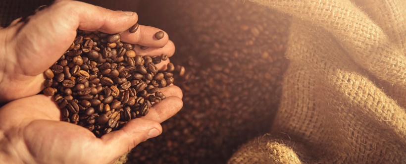 La industria del café verde también tiene su normalización. ISO 4149 2005